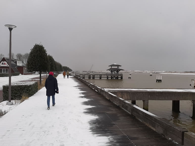 2021 EARLY FEBRUARY WALKING ALONG RIVER YSER CLOSE TO THE MOUTH 