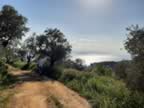 20220420_173353.jpg (138kb)